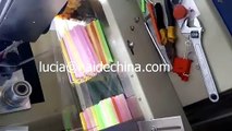 Sealing machine,great quality high speed drinking straw counting&packaging machine