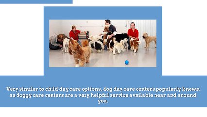 DOG DAY CARE……HOME AWAY FROM HOME FOR PETS