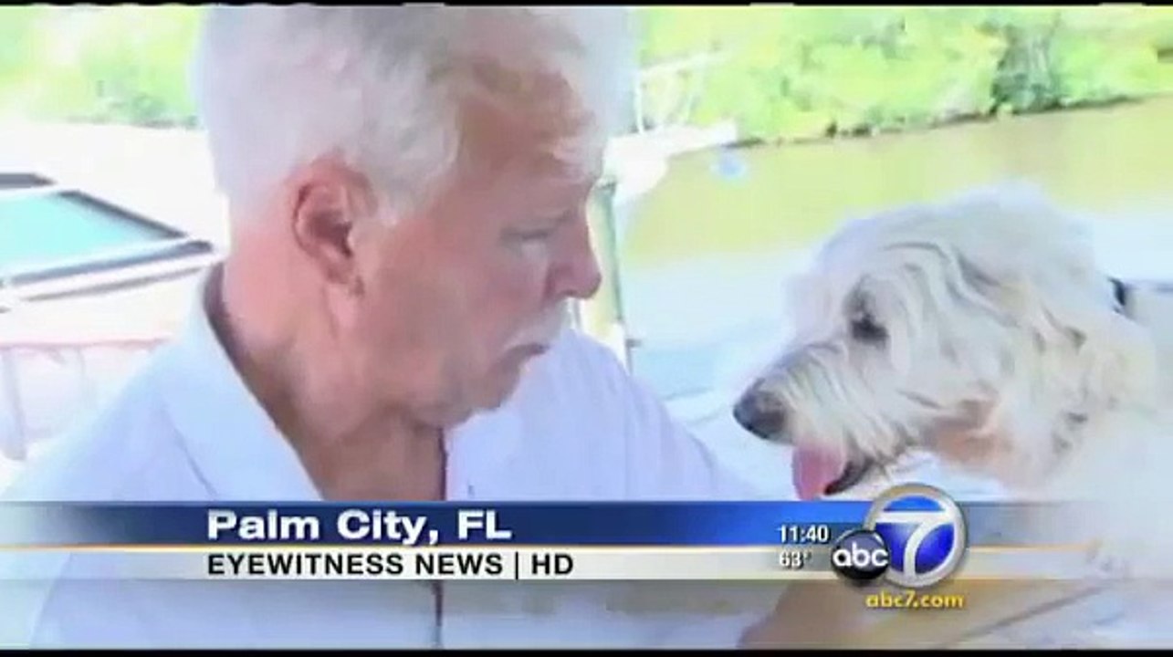 Man Rescues Dog From Gator