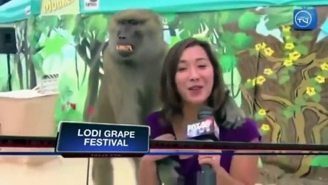 BEST NEWS BLOOPERS 2015  BOOBS BLOOPERS
