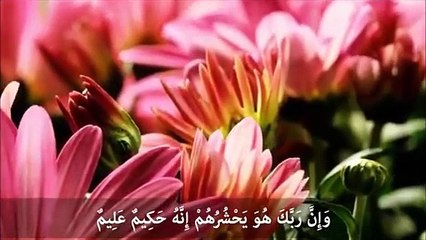 سورة الحجر للشيخ خالد الجليل