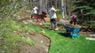 NH Landscaping Spring Cleanup Services