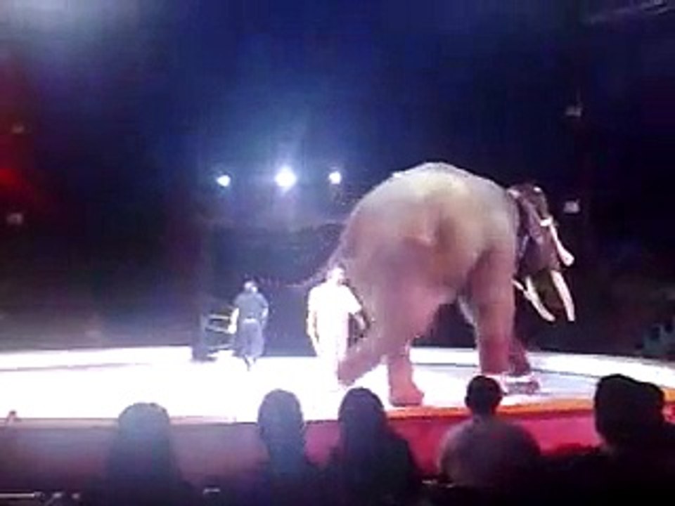 El Elefante del millon "Big Boy"