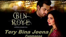 Tery Bina Jeena Full Song - Rahat Fateh Ali Khan - Bin Roye [2015]