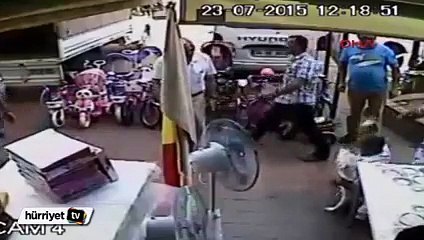 izmir'de köpek terörü