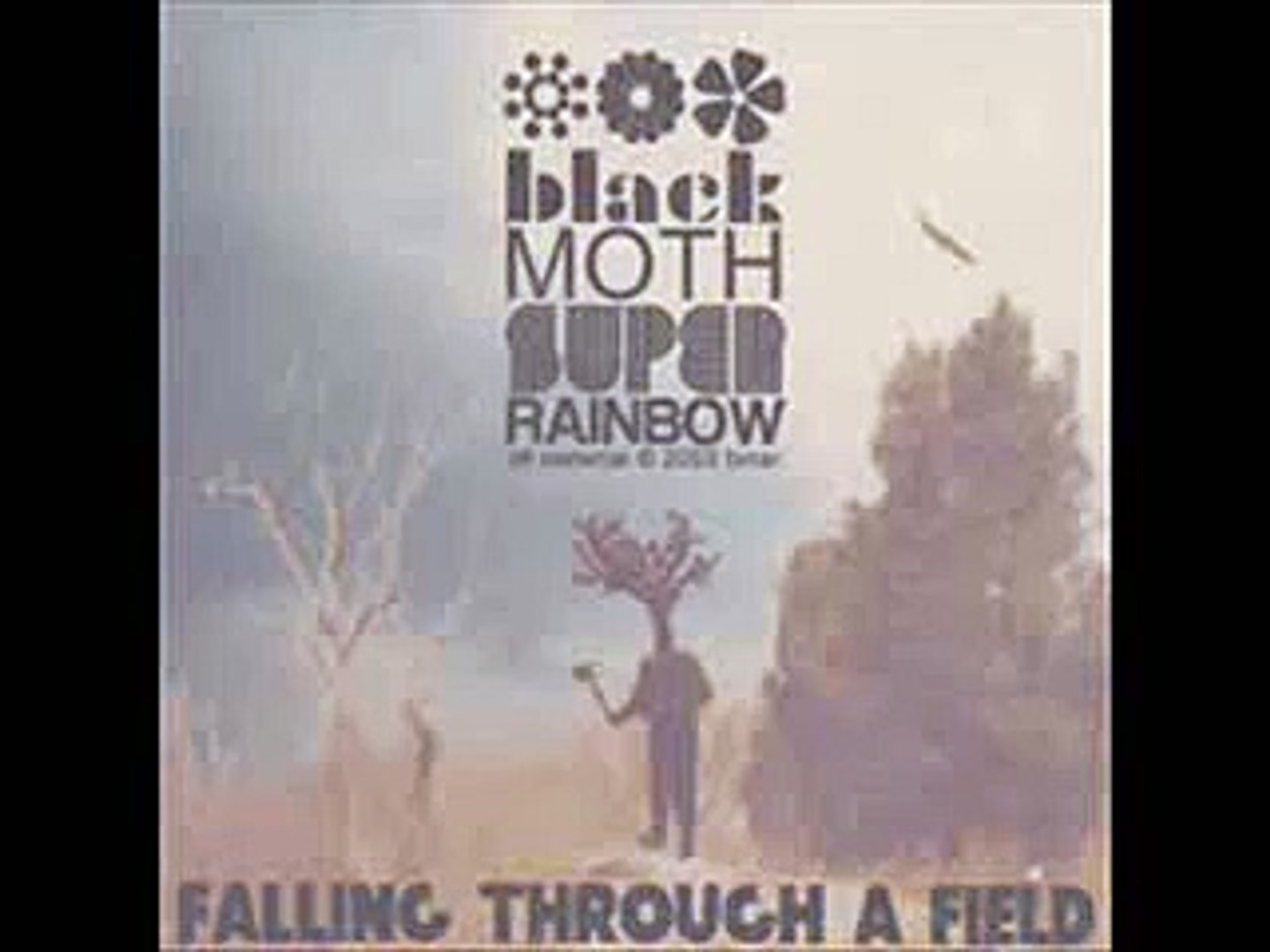 Black Moth Super Rainbow - Dandelion Graves