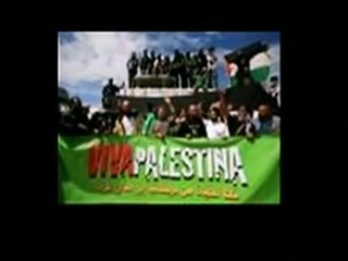 Viva Palestina Alison Weir speaks to Hesham Tillawi from Alexandria