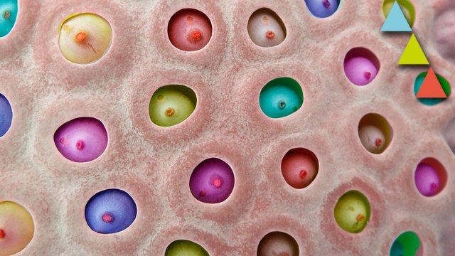 Las fobias más raras y extrañas del mundo