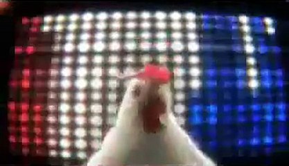 gallina pazza techno