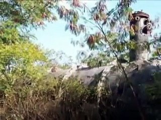 Bhopal Disaster (Images)