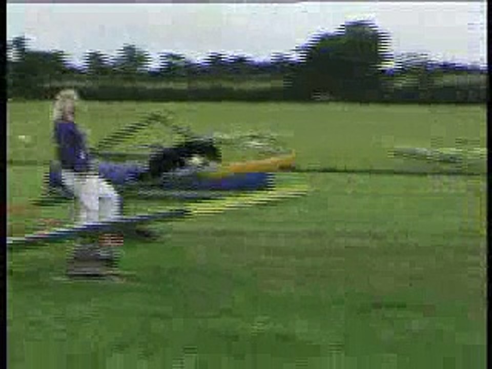 Dog Agility - Teach Your Dog to Win