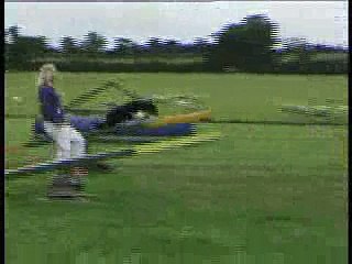 Dog Agility - Teach Your Dog to Win