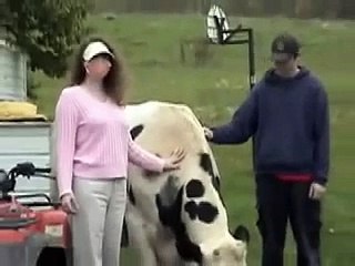 You're a Wonderful Cow, My Best Friend Black Spot!