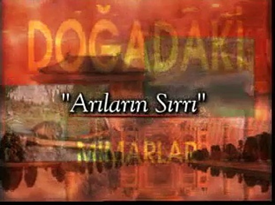 Arılar