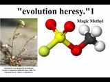 Evolutionists Call New Plant Epigenetic Study 'Heresy'