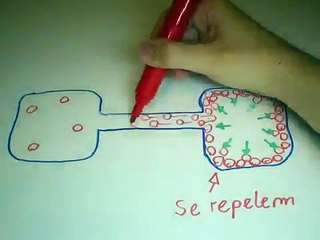 Vídeo Aula de Eletrônica #1 - Tensão, Corrente e Resistência.