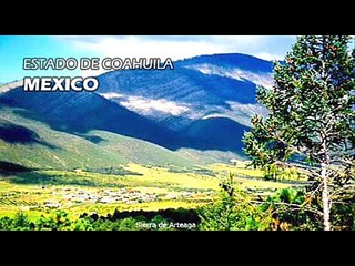 Julia Palma - ¿Quién pierde más?