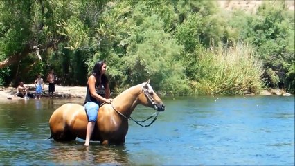 SKIP N MAGIC AQHA Palomino mare for sale