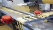 MACCHINE PER PASTA FRESCA - Impianto produzione pasta fresca: RAVIOLI