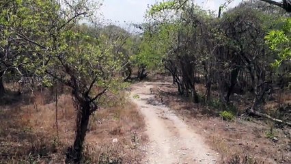 Proyecto de Ecologia