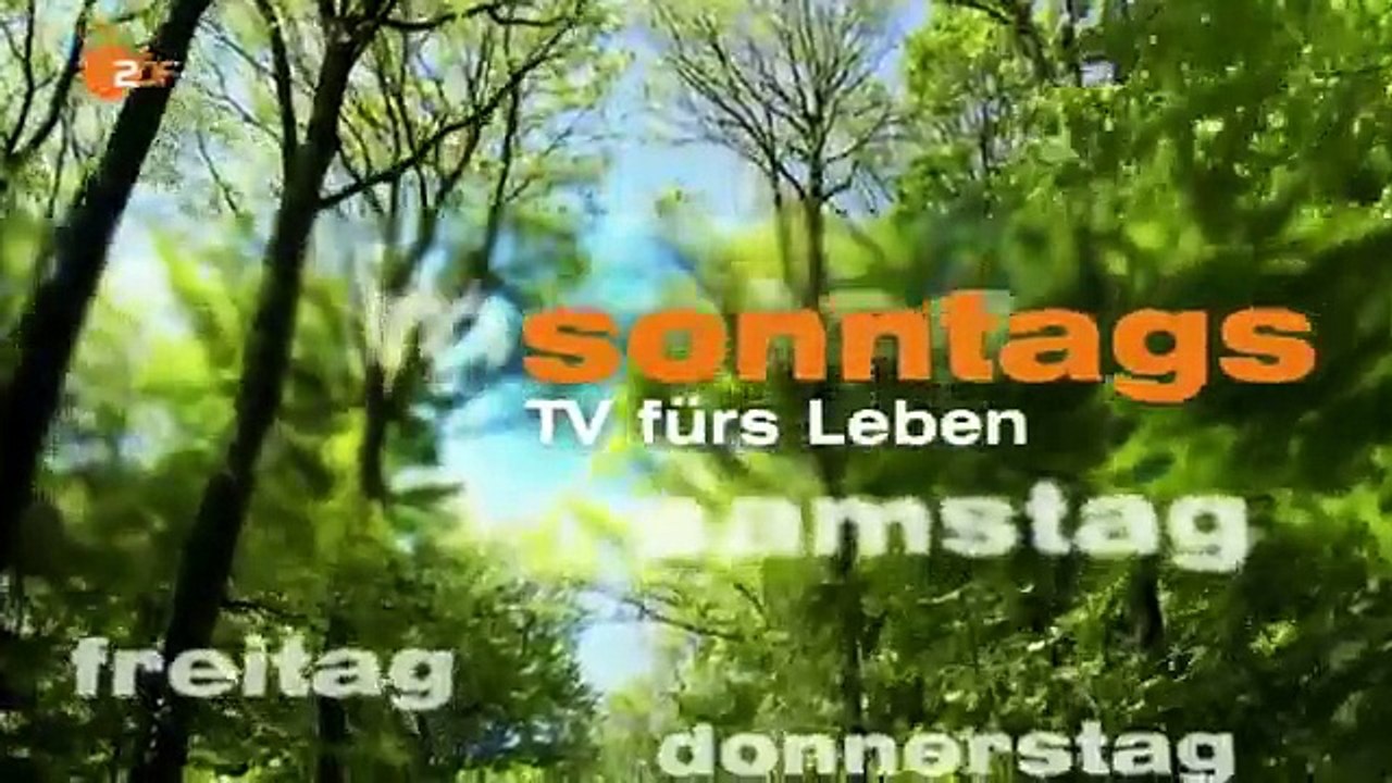 Mobil im Rollstuhl - sonntags - ZDF vom 17. Mai 2015