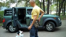 Teach your dog to jump into the car | Redeeming Dogs | Tod McVicker Dallas dog training
