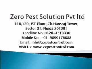 Zero Pest Solution Pvt ltd