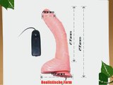 Super Vibrator mit Fernbedienung und Saugfu? ? 48 cm L=295 cm