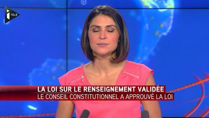 Loi Renseignement: "Le Conseil constitutionnel a fermé les yeux"