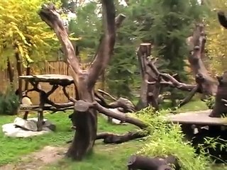 Crias de panda con su mama. Zoo Aquarium de Madrid