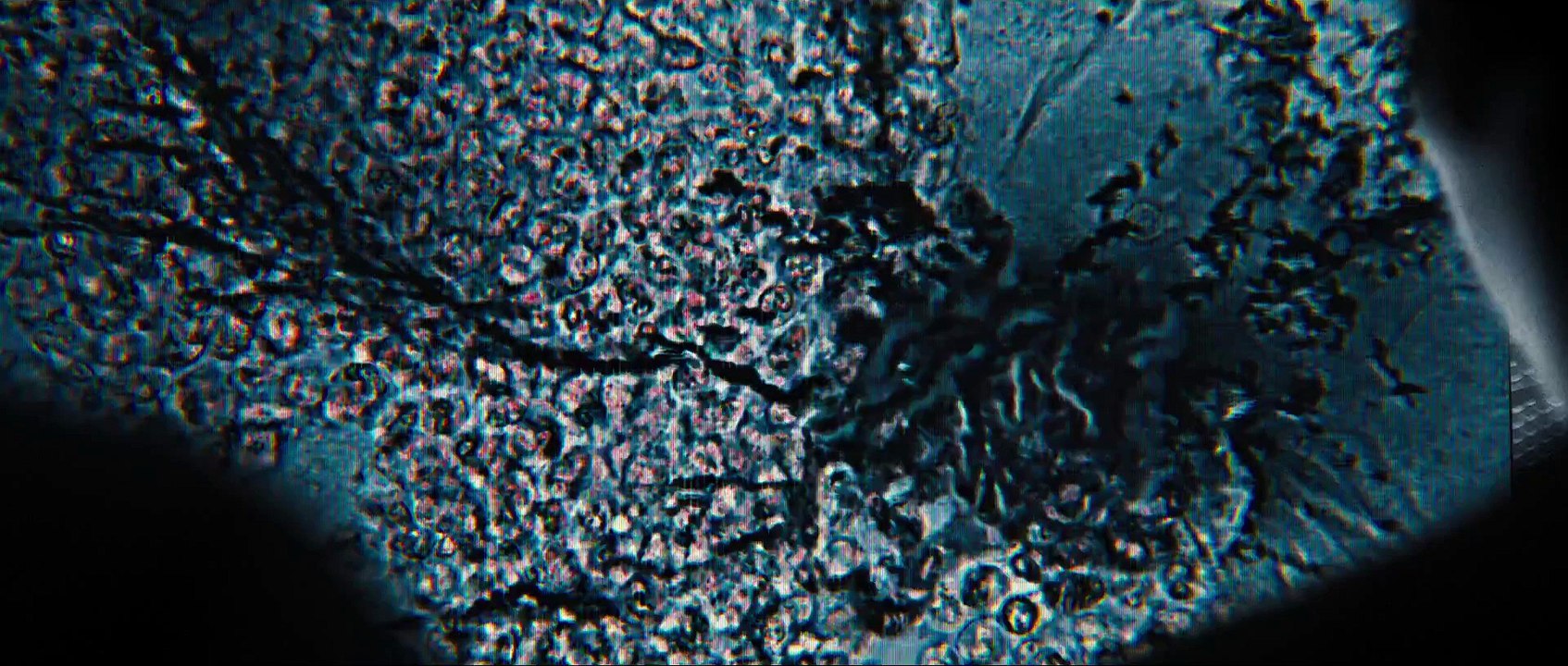 Le Labyrinthe 2 – Les Terres Brûlées bande-Annonce 2 VO