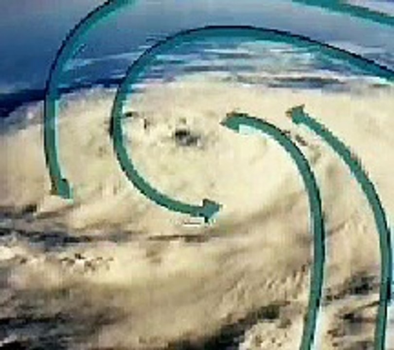 Microsoft Encarta 96 Encyclopedia - All Sound Videos (1995)