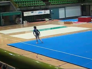 La mia Ginnastica Artistica