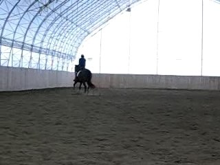 Violaine et Margot - Allongement au trot