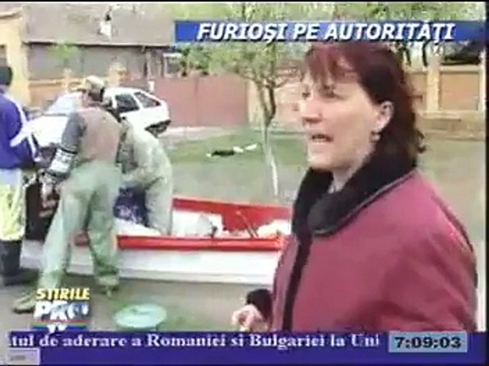 Inundatiile din Foeni 2005 la PROTV