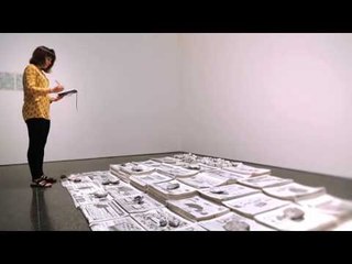 TV3 - 33 recomana - Desitjos i necessitats. MACBA