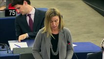 Situation in Ukraine: Opening statement by Federica Mogherini at EP Plenary