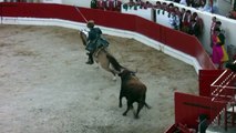 TOIROS-Lide a Cavalo 3