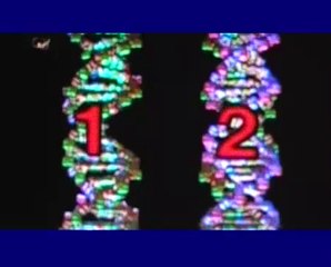 I-ching y el codigo genetico