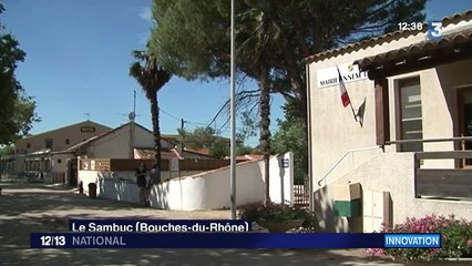 Camargue : à la découverte de "l'aspirateur" à moustiques