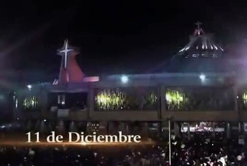 Mañanitas a la Virgen de Guadalupe 2014 - EN VIVO