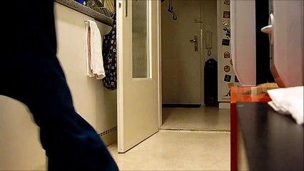 Who says cat cannot be trained? :D