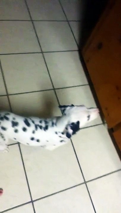 Simon Ripping My Pants. -_-