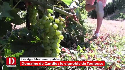 Flash info - Dimanche 26 juillet 2015