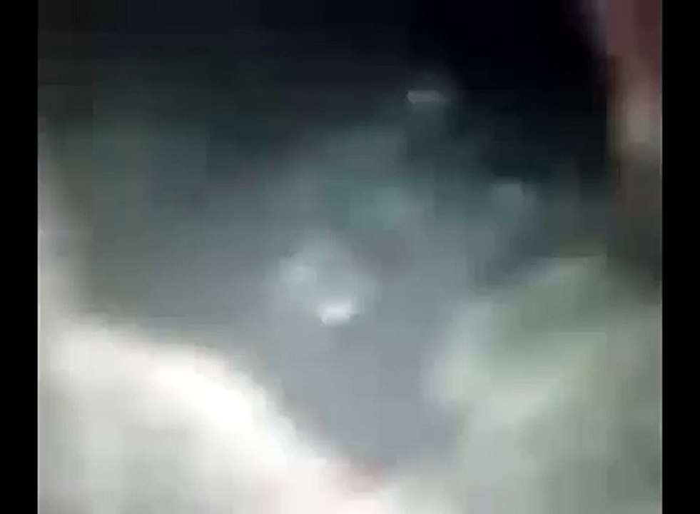 Pantera (de Caimito) en Puerto Rico real!