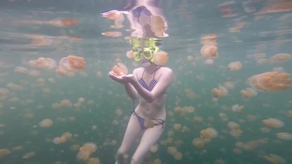 Snorkeler bravely swims with thousands of jellyfish