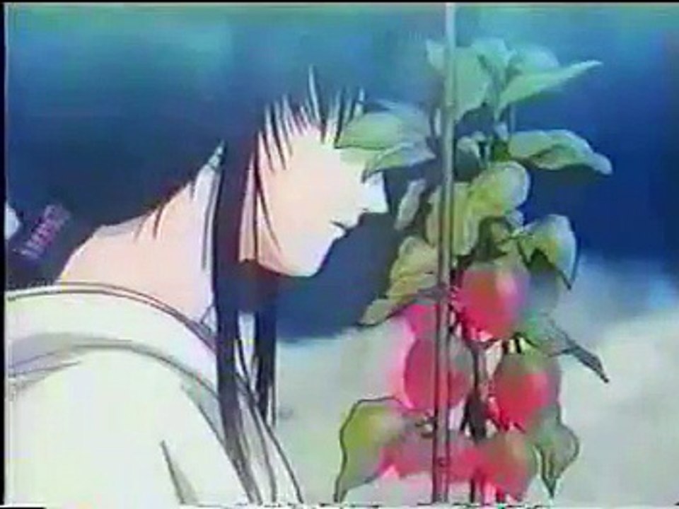 I just died in your arms tonight AMV Kenshin