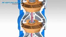 Neptuno Pumps® - Vertical Turbine Pump - Enclosed Shaft Assembly