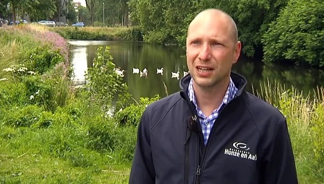 Dit is de eerste keer in Groningen dat we last hebben van botulisme - RTV Noord