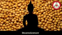 Was ist Buddhismus - Die Geschichte von Gotami und dem Senfkorn